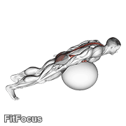 Exercise Ball Back Extension With Rotation GIF