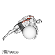 Exercise Ball Lying Side Lat Stretch GIF