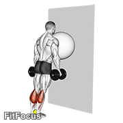 Exercise Ball On The Wall Calf Raise (tennis Ball Between Ankles) GIF