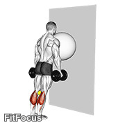Exercise Ball On The Wall Calf Raise (tennis Ball Between Knees) GIF — animated legs exercise demonstration