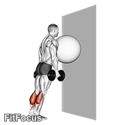 Exercise Ball On The Wall Calf Raise GIF