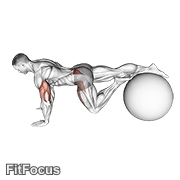 Exercise Ball One Leg Prone Lower Body Rotation GIF