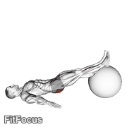Exercise Ball One Legged Diagonal Kick Hamstring Curl GIF