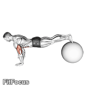 Exercise Ball Pike Push Up GIF