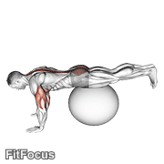 Exercise Ball Prone Leg Raise GIF