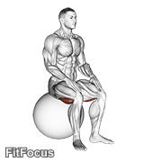 Exercise Ball Seated Hamstring Stretch GIF — animated legs exercise demonstration