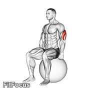 Exercise Ball Seated Triceps Stretch GIF