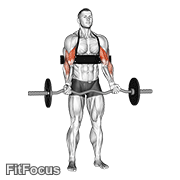 Ez-bar Biceps Curl (with Arm Blaster) GIF