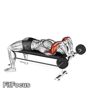 Ez Bar Lying Close Grip Triceps Extension Behind Head GIF