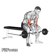 Ez Bar Seated Close Grip Concentration Curl GIF