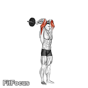 Ez Bar Standing French Press GIF