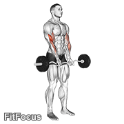 Ez Barbell Close-grip Curl GIF