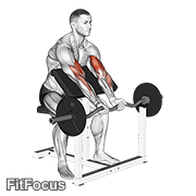 Ez Barbell Close Grip Preacher Curl GIF