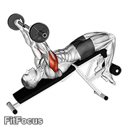 Ez Barbell Decline Triceps Extension GIF