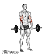 Ez Barbell Reverse Grip Curl GIF