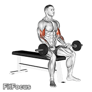 Ez Barbell Seated Curls GIF