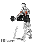Ez Barbell Spider Curl GIF