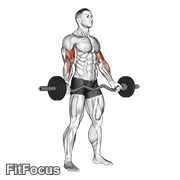 Ez-barbell Standing Wide Grip Biceps Curl GIF