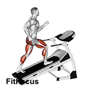 Walking On Incline Treadmill