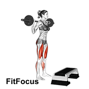 Barbell Squat Jump Step Rear Lunge