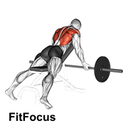 Barbell Reverse Grip Incline Bench Row