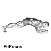 Weighted Front Plank