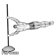Flag GIF — animated core exercise demonstration