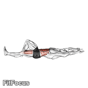 Flexion Leg Sit Up (bent Knee) GIF