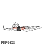 Flexion Leg Sit Up (straight Arm) GIF