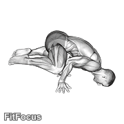 Frog Planche GIF