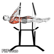 Front Lever Reps GIF