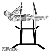 Front Lever GIF