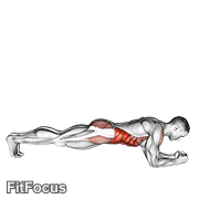 Front Plank With Twist GIF