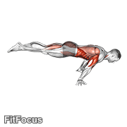 Full Planche Push-up exercise GIF demonstration