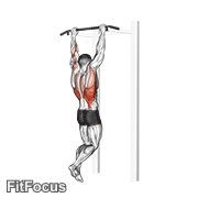 Gironda Sternum Chin GIF — animated back exercise demonstration