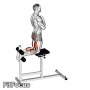 Glute-ham Raise GIF