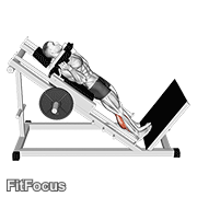 Hack Calf Raise GIF