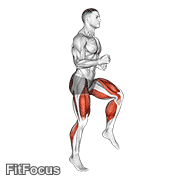 Half Knee Bends (male) GIF