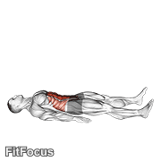 Half Sit-up (male) GIF