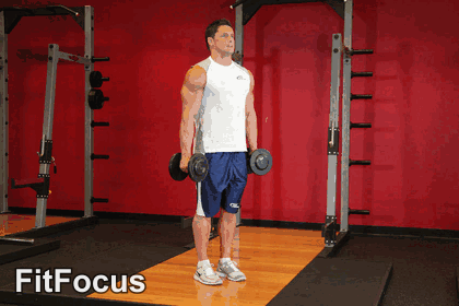 Hammer Curl animated form demonstration
