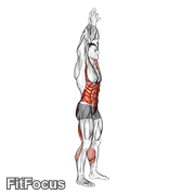 Hands Reversed Clasped Circular Toe Touch (male) GIF