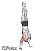 Handstand Push-up GIF — animated arms exercise demonstration