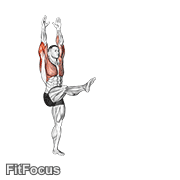 Handstand GIF