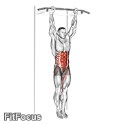 Hanging Leg Hip Raise GIF