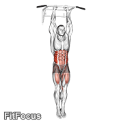 Hanging Oblique Knee Raise GIF