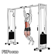 Hanging Straight Leg Hip Raise GIF
