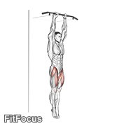 Hanging Straight Leg Raise GIF