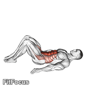 Hip Raise (bent Knee) GIF