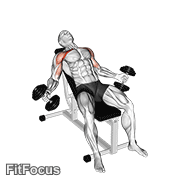 Hyght Dumbbell Fly GIF