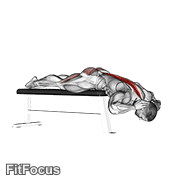Hyperextension (on Bench) GIF